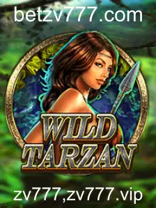 Explorando o Mundo de WildTarzan: Descubra as Aventuras e Regras do Jogo